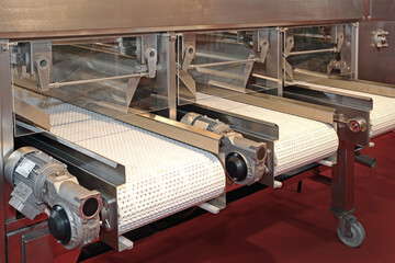 Conveyor Belts at Mechanical Fruit Calibrating and Sorting Machine  - obrazy, fototapety, plakaty