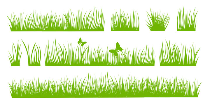 Spring and summer herbal set isolated on white background. Green grass. Vector illustration.