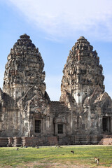 Fototapeta premium Historical castle in Phra Prang Sam Yod, Lopburi Thailand lot of monkeys