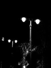Street lights in the Dark Night