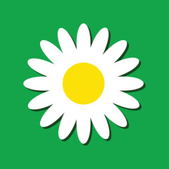 White daisy chamomile, Cute flower plant, Camomile icon Growing concept, Green background, Vector illustration