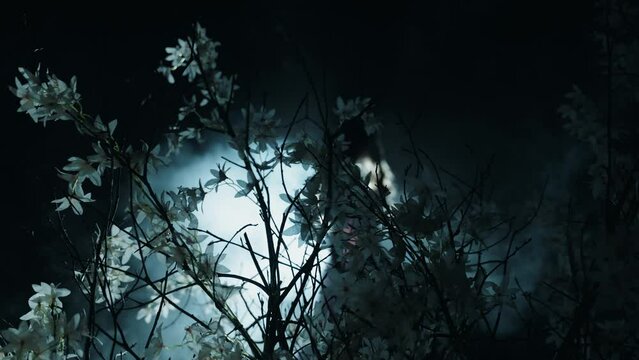 dark silhouette fantasy woman dancing in party ball black night garden fog smoke white flowers tree branch art blue magic moon light rays. Gothic happy Girl fairy tale princess long dress slow motion
