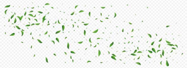 3360X1225pan1-02__leif_6_01.eps