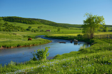Serene, idyllic countryside landscape featuring rolling hills, meadows, and a winding river under a clear blue sky.