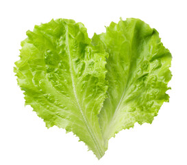 Lettuce leaves heart on a white background. Isolated - 770582708