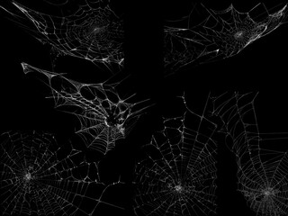 Spider web texture stock image use black background