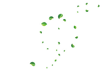 Green_Leaves_white_background_766.eps