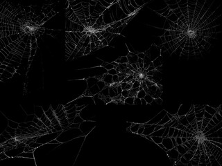 Spider web texture stock image use black background