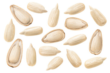 Big set of open sunflower seeds in half shells isolated on white background