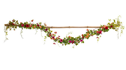 A whimsical creeper with multicolored flowers weaving through a bamboo stick, isolated on...