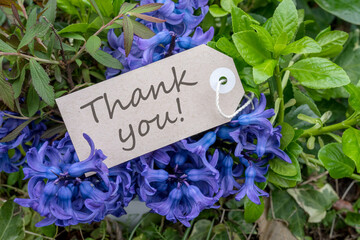Bouquet of blue hyacinths and card with English text: Thank you