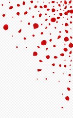 Red_Rose_Petal_Transparent_Background_232.eps