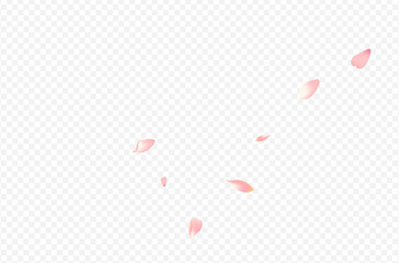 TS-08__Persik1_01.eps