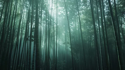  A dense bamboo forest with shafts of light filtering through the tall stalks creating a peaceful and mystical atmosphere. © Martin