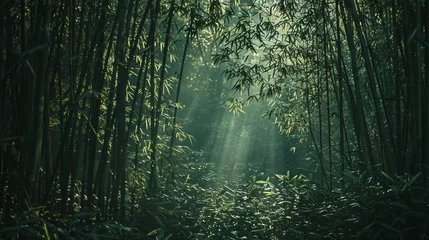 Fotobehang A dense bamboo forest with shafts of light filtering through the tall stalks creating a peaceful and mystical atmosphere. © Martin