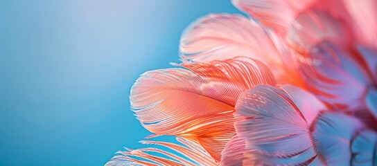 Macro shot showcasing row of vertical feathers against a plain blue soft pastel backdrop. The intricate patterns and textures resemble a luxurious fur or delicate eyelash - obrazy, fototapety, plakaty