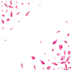 20sht-03__Pink2_01.eps