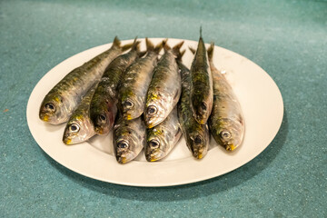 Half a dozen appetizing raw and fresh sardines from the Atlantic Ocean, on a plate. Purchased at the market and from a recently arrived ship. Fishing industry. Healthy and quality foods.