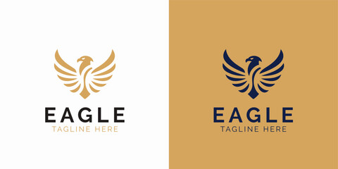 Fototapeta na wymiar Dual Design Presentation of an Abstract Eagle Logo With Text Placeholder