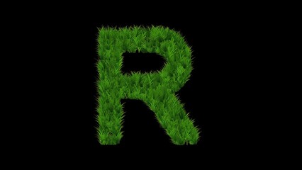 Beautiful illustration of English alphabet R with green grass effect on plain black background