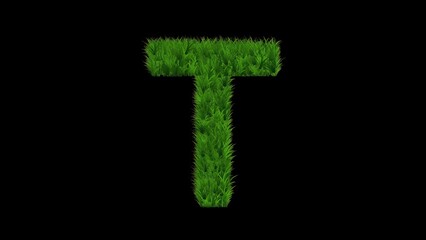 Beautiful illustration of English alphabet T with green grass on plain black background