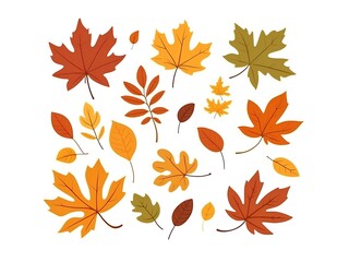Obraz premium autumn leaves shapes isolated on white background, ready for design 