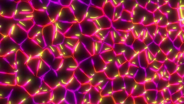 impulses, perineurium, fibers, microscope, human nerve, nerve, bundle, magnification, tissue, section, connective, neurons, neural, examination, nervous, organization, structure, sensory, anatomy, mic