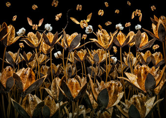 Honey nut (aus der Fotoserie 
