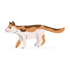 Three-color cat walks, sneaks, hunts. Pets, breed. Flat cartoon vector illustration isolated on a white background