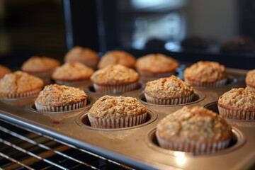 baking tray of wheat bran muffins, just from the oven