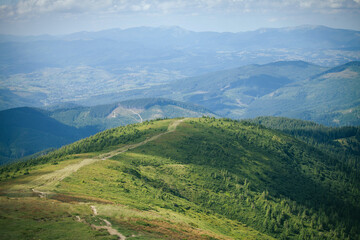 Carpathian Mountain Range Summer Landscape - 770618148