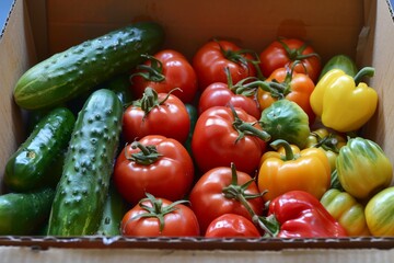 fresh organic tomatoes, peppers, and cucumbers displayed in a delivery box - obrazy, fototapety, plakaty