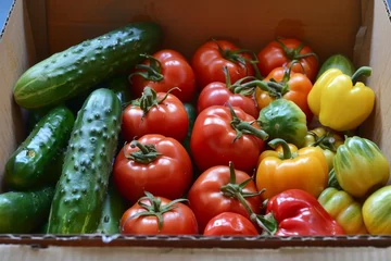 Foto auf Acrylglas fresh organic tomatoes, peppers, and cucumbers displayed in a delivery box © altitudevisual