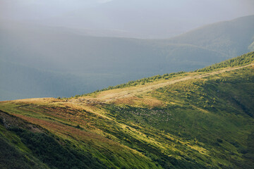 Carpathian Mountain Range Summer Landscape - 770623195