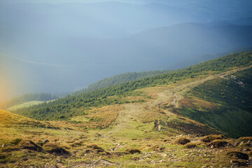 Carpathian Mountain Range Summer Landscape - obrazy, fototapety, plakaty