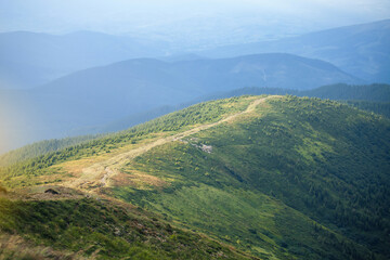 Carpathian Mountain Range Summer Landscape - 770624745