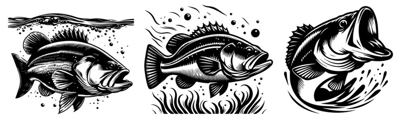 predatory fish black laser cutting engraving - obrazy, fototapety, plakaty