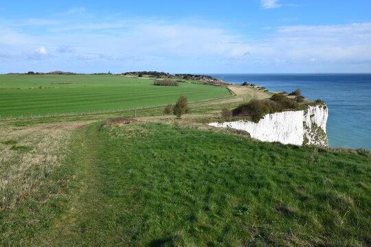 
Windswept landscape of lush green meadows ending in the white cliffs of Dover, Kent, UK