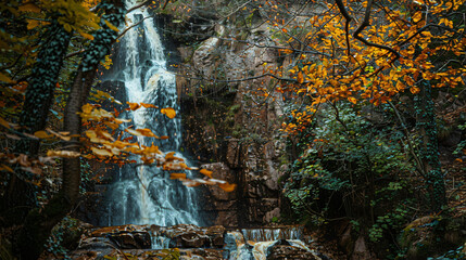 Naklejka premium A narrow waterfall streaming down a vertical rock face surrounded by autumn-colored foliage.