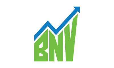 BNV financial logo design vector template.