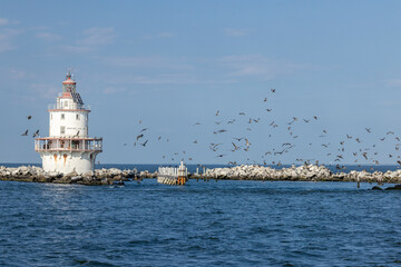 Brandywine shoals light East coast USA lighthouse Deleware Bay - 770631773