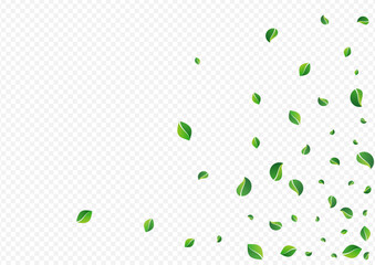 2400x170015__list_2_01.eps