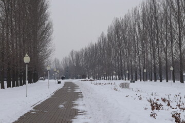 Almaty City 26 February 2024, Park of the first President, Kazakhstan