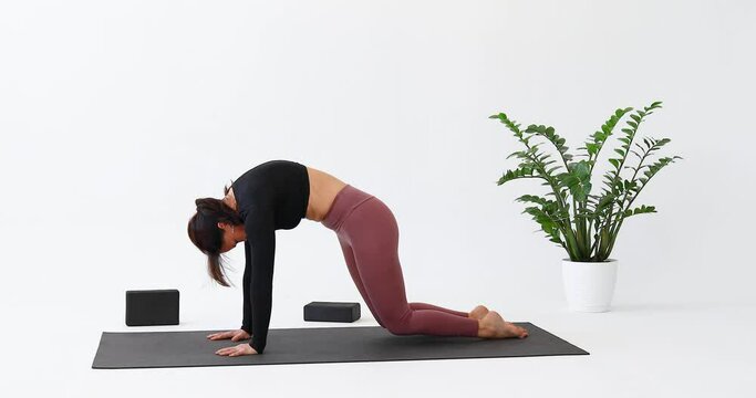 Sports woman performs Marjariasana exercise variation, cat pose, practises yoga in leggings and a short long-sleeved sweater on a mat in a light room