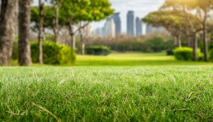 Peaceful Park Ambiance: Out-of-Focus Background Plate of Grassy Field