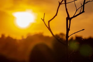 Dekokissen słońce © Emilia