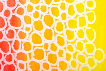 Felt Pen Lines and Colours on a White Background With Bubble Circles