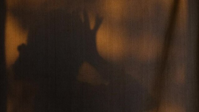 Shadow silhouette of young woman touching her face, head and stretching her arms in morning sun. Closeup woman shadow on curtain inside. Concept of routine, self love and care, joy, rest, lifestyle.