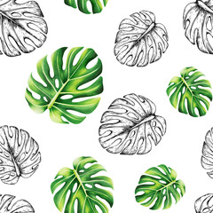 Watercolor seamless pattern with realistic and linear tropical illustration of monstera isolated on background. Beautiful botanical hand painted logo with floral elements. For designers, spa dec - obrazy, fototapety, plakaty