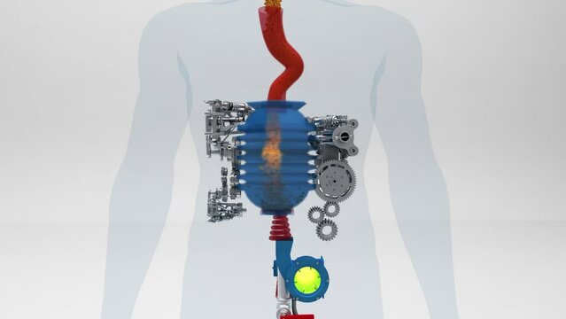 Mechanical schematic representation of a digestive process, human body, internal anatomy, digestion, stomach, intestine, functioning, 3d illustration